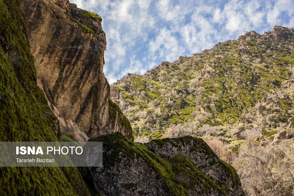 تصاویر رویایی از کوه مخملی خرم آباد + عکس