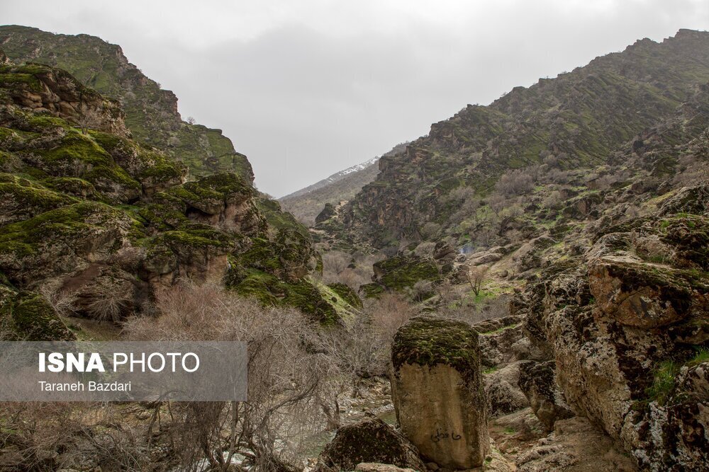 تصاویر رویایی از کوه مخملی خرم آباد + عکس
