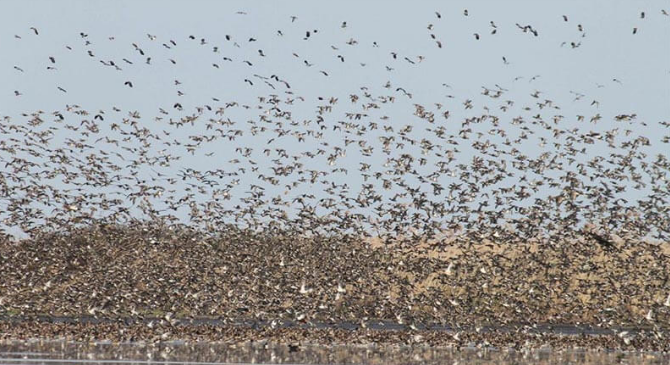 Не пропускайте да посетите Kaji Namakzar Nahbandan Wetland