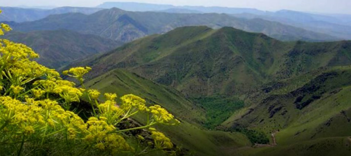 خاص ترین جاذبه های طبیعی دیواندره کردستان