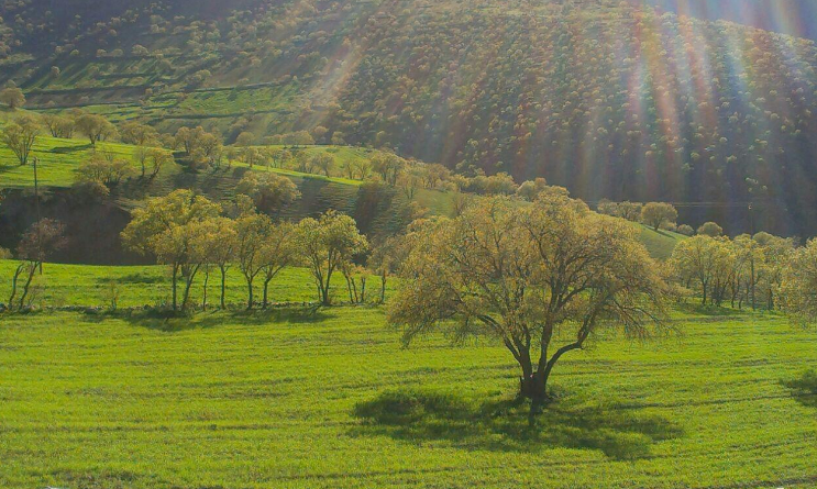 دیدنی ترین جاذبه های گردشگری کردستان