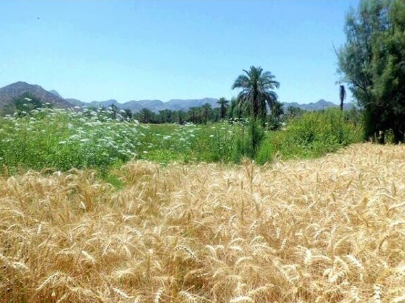 چند روستای جالب و دیدنی در کهنوج کرمان