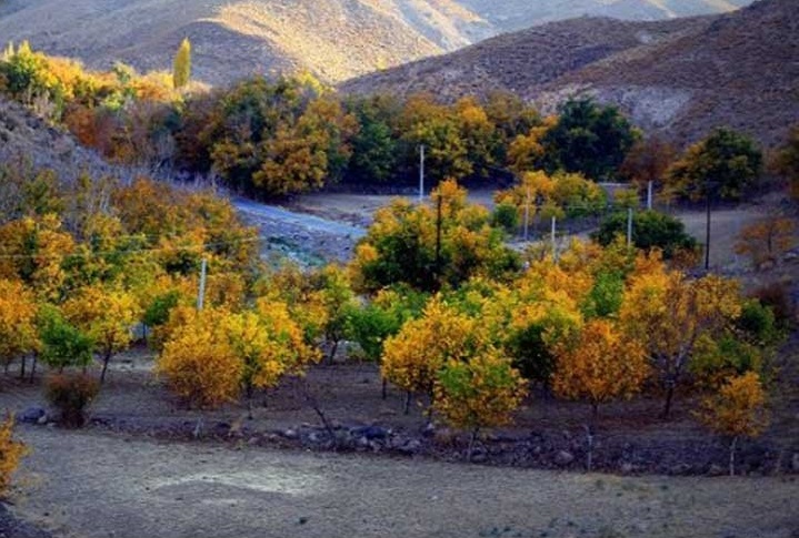 روستای بیدخوان بردسیر کرمان دیدنی است