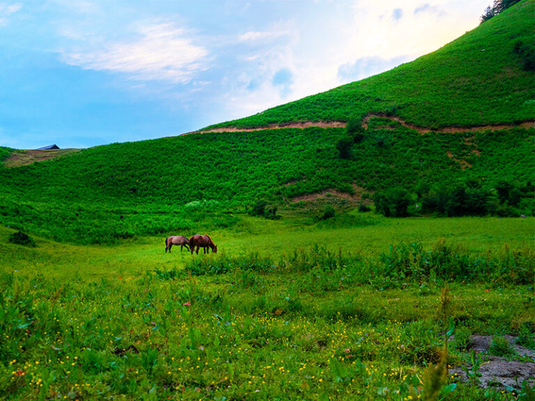 افجه;  جاذبه ای بی نظیر در نزدیکی تهران