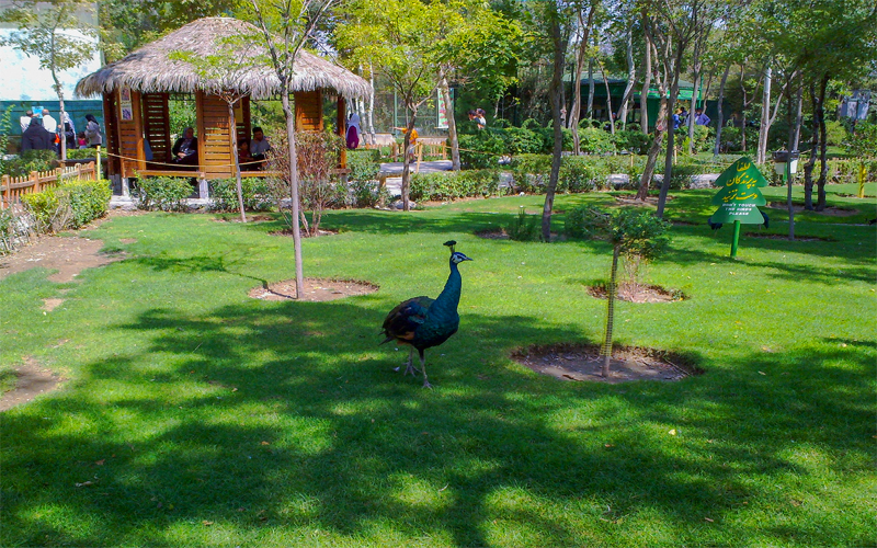 باغ پرندگان؛  جاذبه ای رنگارنگ در مشهد