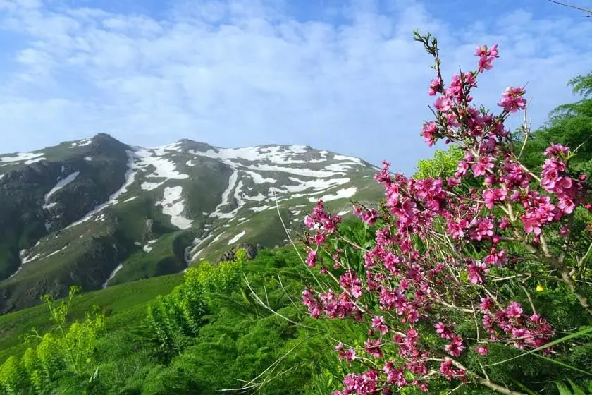 بازدید از کوه چهل چشمه کردستان