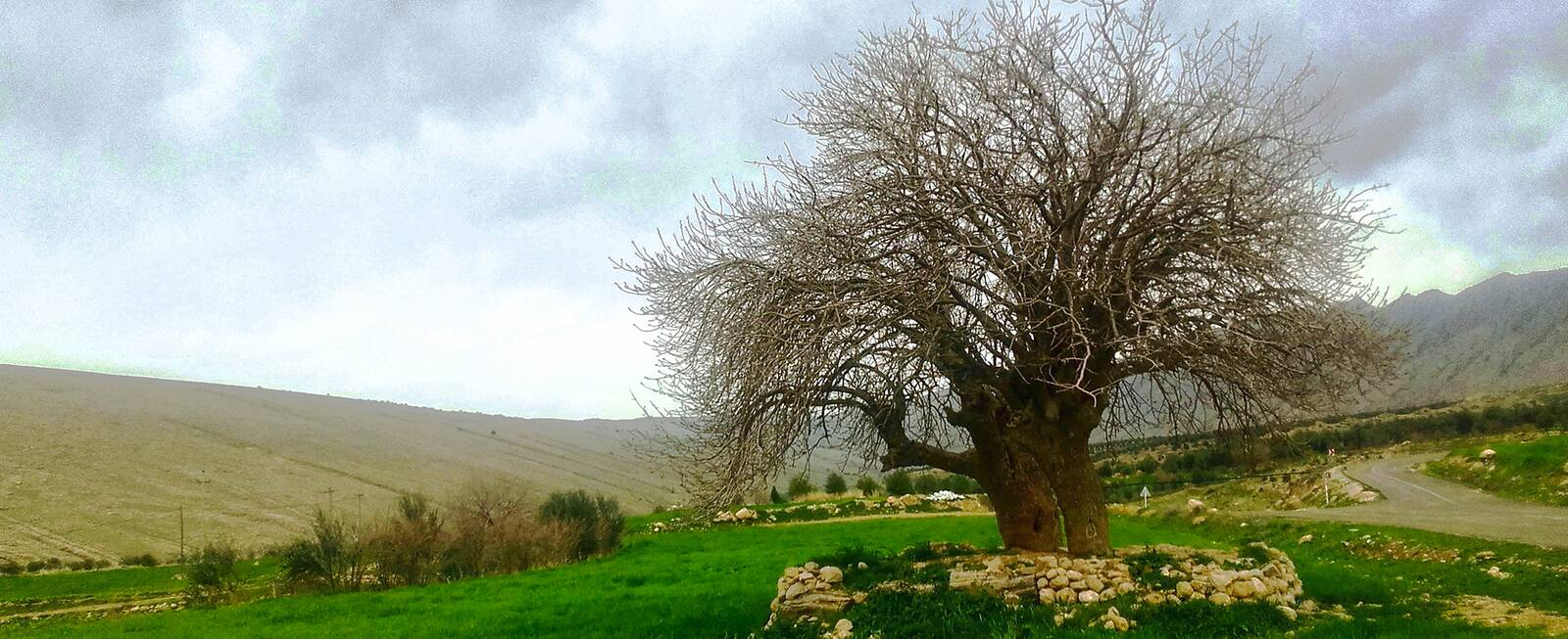 روستای ریجاب کرمانشاه دیدنی است