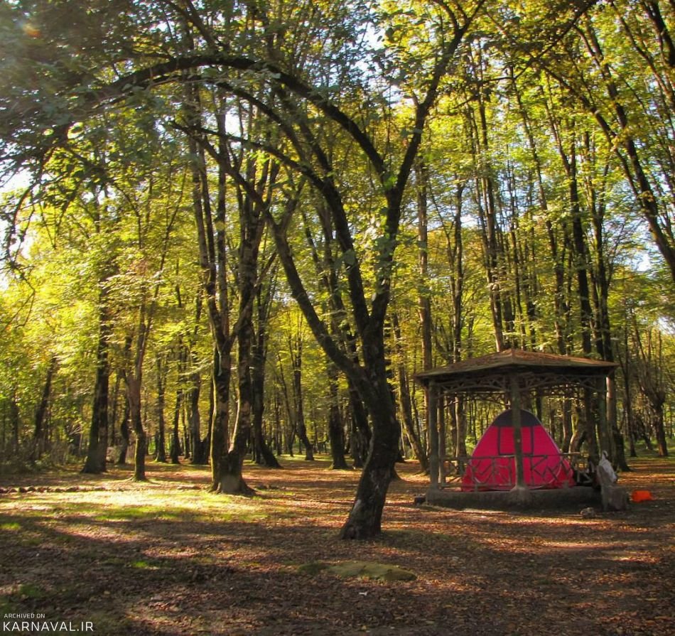 سفری به قلب آرامش و تاثیر طبیعت در پارک جنگلی سی سنگان