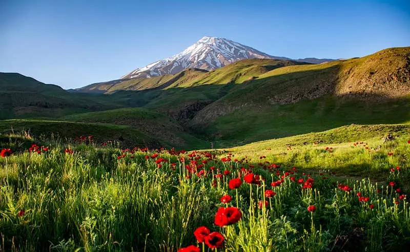 لحظات شگفت انگیز در دشتی زیبا به نام لار دماوند