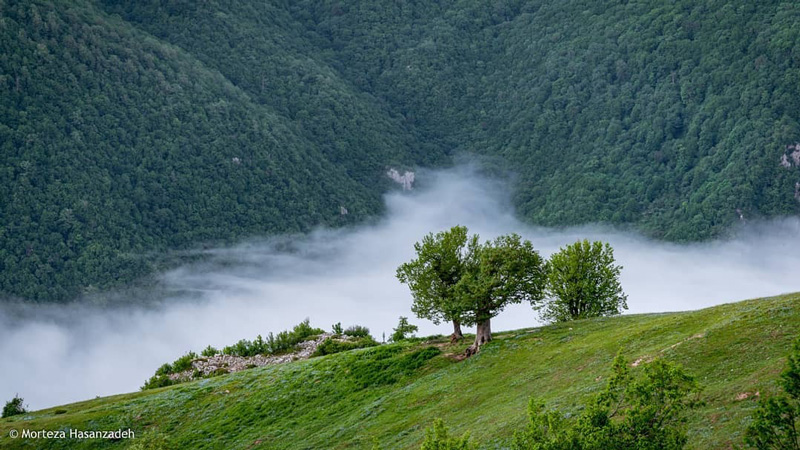 منظره ای جادویی در جنگل ابر شاهرود / نمایشی درباره عظمت ابرها و سرسبزی بی پایان