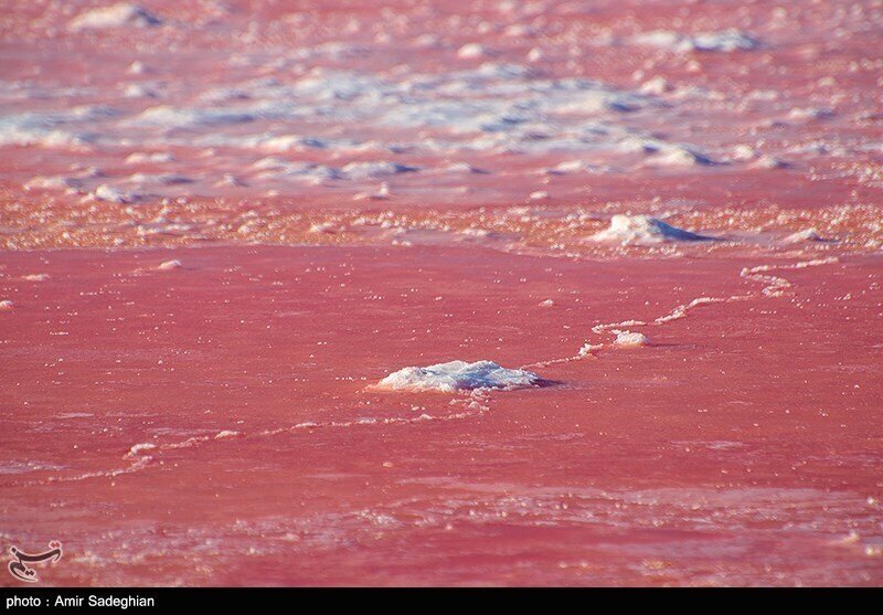 این دریاچه در ایران رنگ خون گرفت!  + عکس
