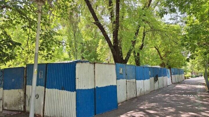 تاریخچه فنس کشی در باغ لاله تهران چیست؟