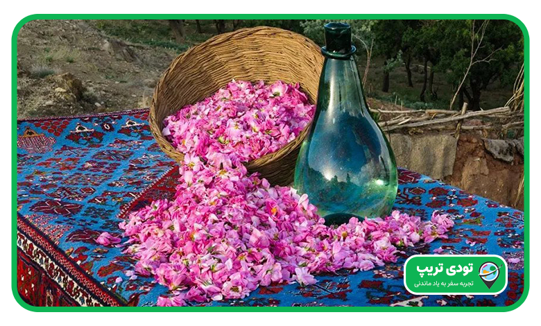 جشنواره گلاب گیری کاشان