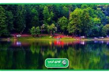 جاهای دیدنی ساری
