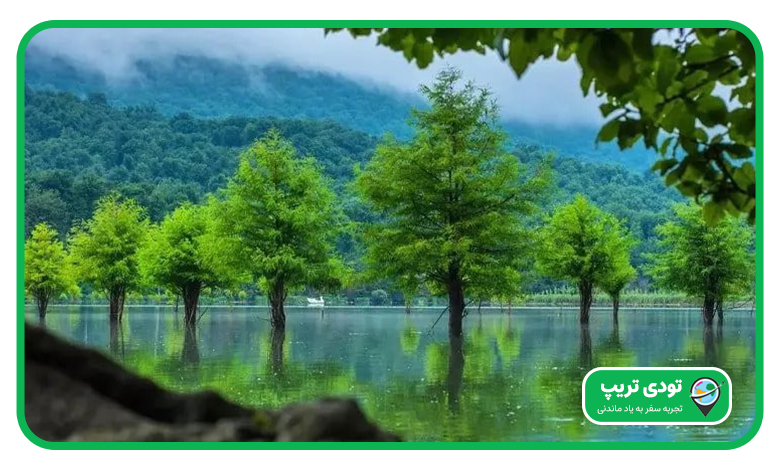 دریاچه الندان