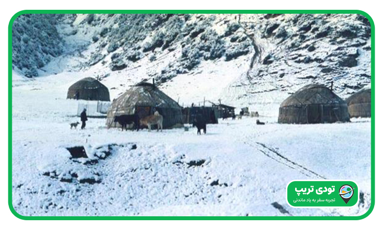 مرغاب
