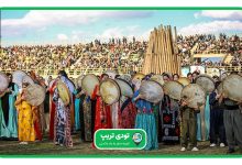 فستیوال کاوان کی برگزار می شود؟