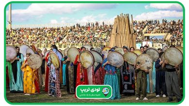 فستیوال کاوان کی برگزار می شود؟