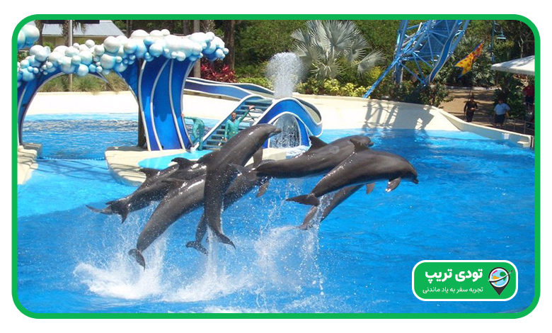 دلفین لند پارک آبی آکوالند آنتالیا