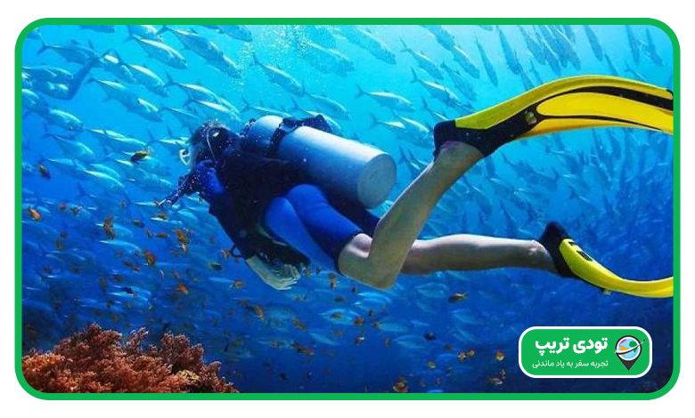 شرایط غواصی در پوکت