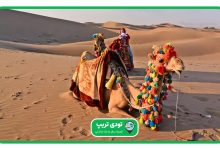 قیمت تفریحات کویر ورزنه در سال 1404