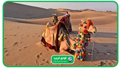 قیمت تفریحات کویر ورزنه در سال 1404