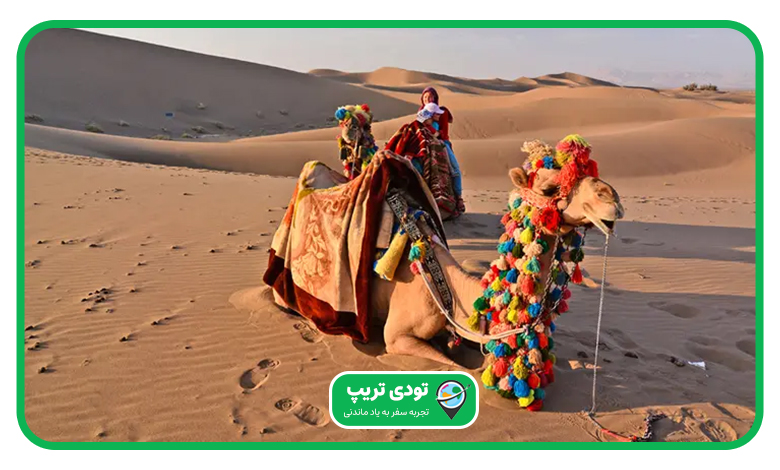 قیمت تفریحات کویر ورزنه در سال 1404