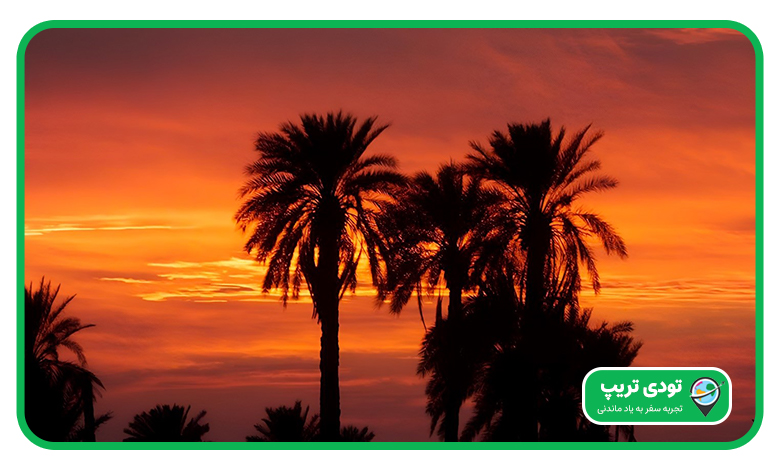 نخلستان باغ بهشت کیش