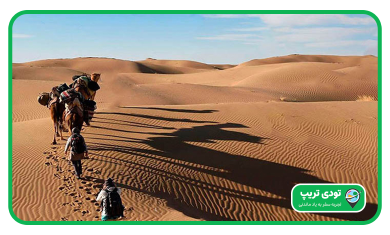 ویژگی‌های کویر ورزنه