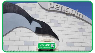 قیمت و آدرس پارک برفی پنگوئن