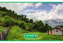 بهترین شهر شمال برای تفریح کدام است؟