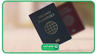 پاسپورت دوم چیست؟