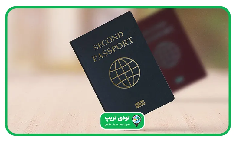 پاسپورت دوم چیست؟