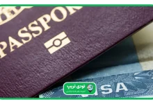 پیکاپ ویزا چیست؟