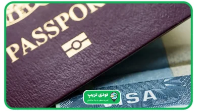 پیکاپ ویزا چیست؟